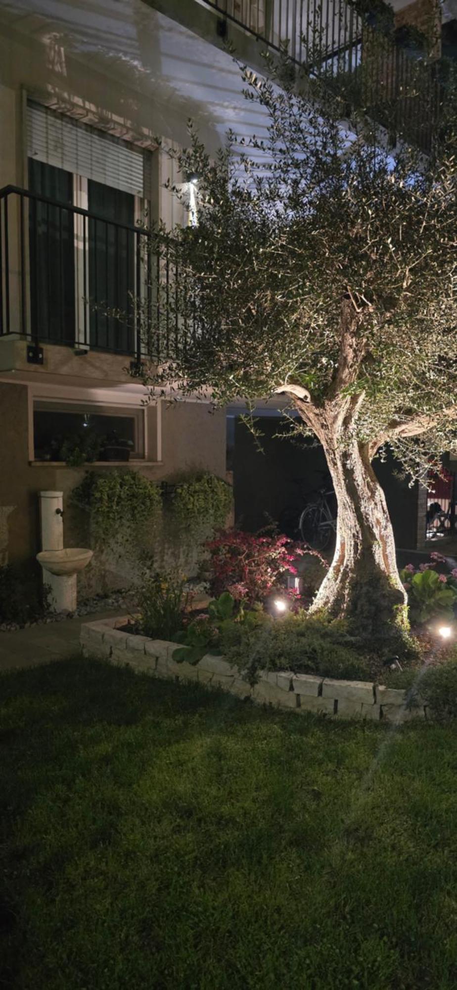 Ca' Olivo Villa Mogliano Veneto Bagian luar foto